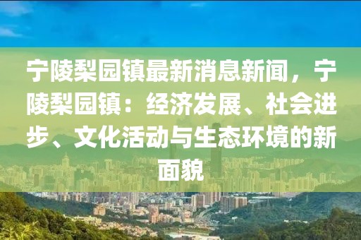 宁陵梨园镇最新消息新闻，宁陵梨园镇：经济发展、社会进步、文化活动与生态环境的新面貌