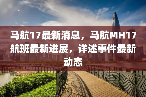 马航17最新消息，马航MH17航班最新进展，详述事件最新动态