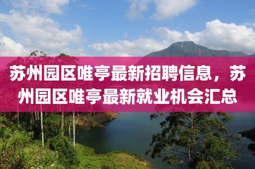 苏州园区唯亭最新招聘信息，苏州园区唯亭最新就业机会汇总