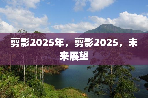 剪影2025年，剪影2025，未来展望