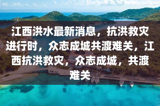 下载毒蛇教程最新版，最新毒蛇教程下载指南：轻松获取优质内容，掌握更新动态