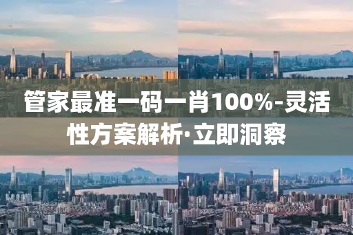 管家最准一码一肖100%-灵活性方案解析·立即洞察