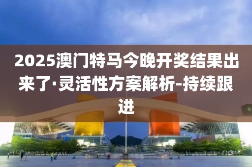 2025澳门特马今晚开奖结果出来了·灵活性方案解析-持续跟进