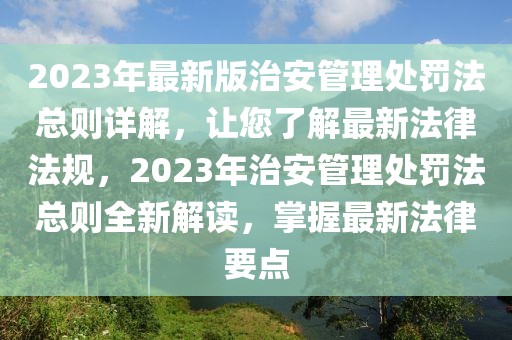 2023年最新版治安管理处罚法总则详解，让您了解最新法律法规，2023年治安管理处罚法总则全新解读，掌握最新法律要点