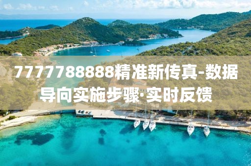 7777788888精准新传真-数据导向实施步骤·实时反馈