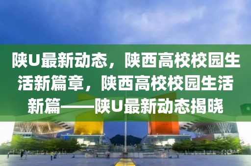 山东2025空乘专业高考指南，报考攻略与未来展望，2025山东空乘专业高考指南，报考策略与职业前景解析