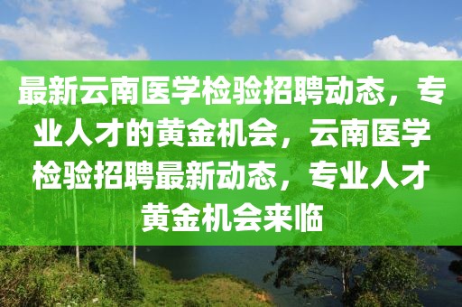 来凤房屋出售最新消息，全面解读市场趋势与优质房源，来凤房屋最新出售消息，市场趋势解读与优质房源一览