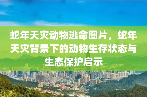 蛇年天灾动物逃命图片，蛇年天灾背景下的动物生存状态与生态保护启示