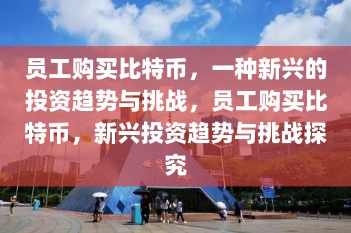 员工购买比特币，一种新兴的投资趋势与挑战，员工购买比特币，新兴投资趋势与挑战探究