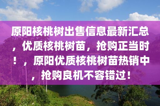 中国有基zz最新地址，中国基zz资源最新汇总入口