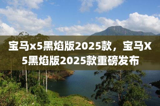 宝马x5黑焰版2025款，宝马X5黑焰版2025款重磅发布