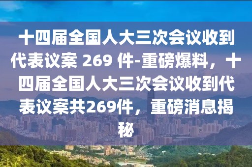 十四届全国人大三次会议收到代表议案 269 件-重磅爆料，十四届全国人大三次会议收到代表议案共269件，重磅消息揭秘