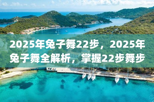 2025年兔子舞22步，2025年兔子舞全解析，掌握22步舞步