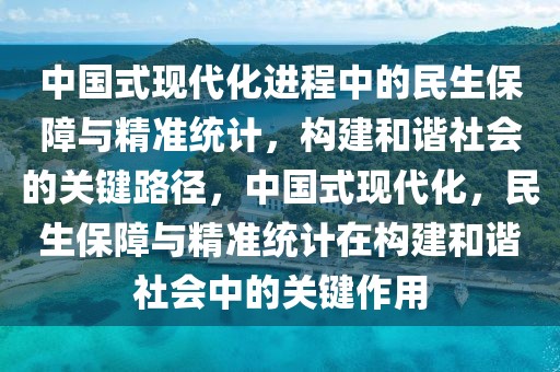 中国式现代化进程中的民生保障与精准统计，构建和谐社会的关键路径，中国式现代化，民生保障与精准统计在构建和谐社会中的关键作用