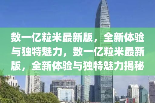 数一亿粒米最新版，全新体验与独特魅力，数一亿粒米最新版，全新体验与独特魅力揭秘