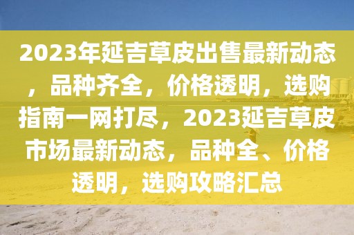 湾里封校最新消息，湾里封校最新动态