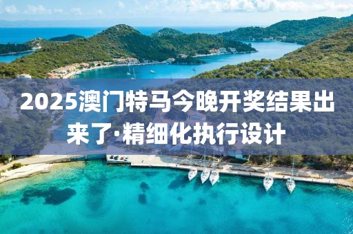 2025澳门特马今晚开奖结果出来了·精细化执行设计