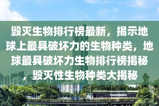 揭秘诈骗最新新闻消息图片，如何防范网络诈骗的五大关键策略，揭秘诈骗最新动态，防范网络诈骗的五大关键策略与新闻图片揭秘