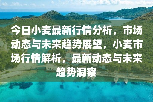 中国最新现金趋势，数字化浪潮中的现金使用新动向，数字化浪潮下中国现金使用新趋势探析