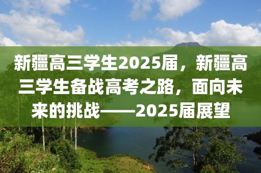 新疆高三学生2025届，新疆高三学生备战高考之路，面向未来的挑战——2025届展望