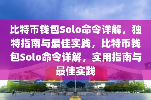 比特币钱包Solo命令详解，独特指南与最佳实践，比特币钱包Solo命令详解，实用指南与最佳实践