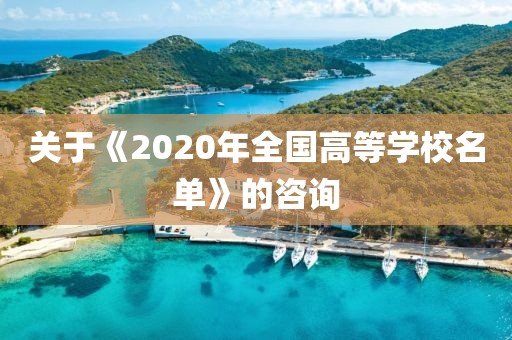 关于《2020年全国高等学校名单》的咨询