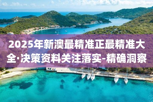 2025年新澳最精准正最精准大全·决策资料关注落实-精确洞察