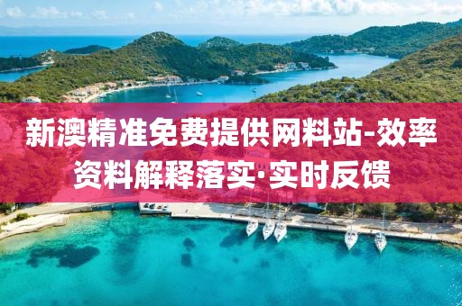 新澳精准免费提供网料站-效率资料解释落实·实时反馈