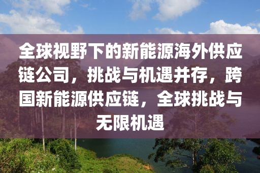 全球视野下的新能源海外供应链公司，挑战与机遇并存，跨国新能源供应链，全球挑战与无限机遇