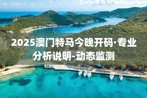 2025澳门特马今晚开码·专业分析说明-动态监测