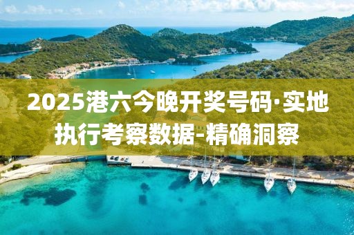 2025港六今晚开奖号码·实地执行考察数据-精确洞察