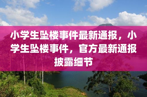 小学生坠楼事件最新通报，小学生坠楼事件，官方最新通报披露细节