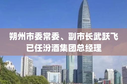 朔州市委常委、副市长武跃飞已任汾酒集团总经理