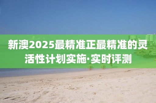 新澳2025最精准正最精准的灵活性计划实施·实时评测