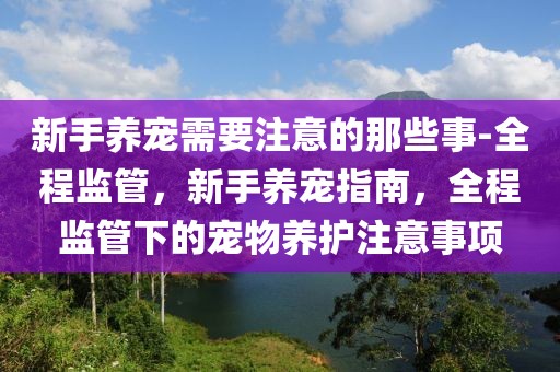 新手养宠需要注意的那些事-全程监管，新手养宠指南，全程监管下的宠物养护注意事项