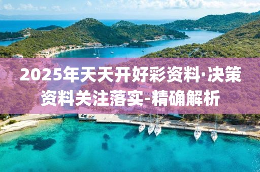 2025年天天开好彩资料·决策资料关注落实-精确解析