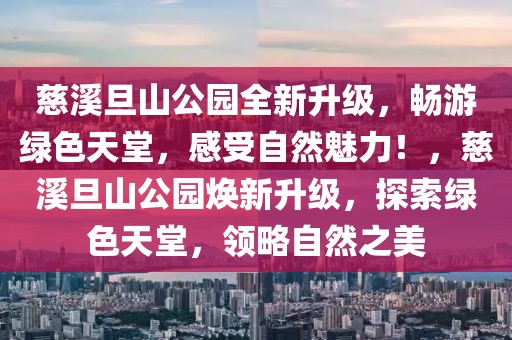 黑龙江2025公安岗位报名指南，一次全面的了解与准备，黑龙江公安岗位报名指南，全面解读与备考准备（2025版）