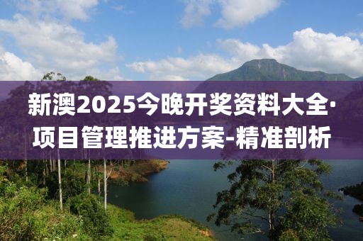 新澳2025今晚开奖资料大全·项目管理推进方案-精准剖析