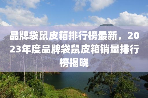 品牌袋鼠皮箱排行榜最新，2023年度品牌袋鼠皮箱销量排行榜揭晓