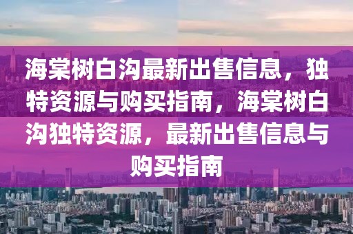 永定巷物业最新消息新闻，永定巷物业最新动态：服务提升、智能化管理、社区发展新动向及政策影响