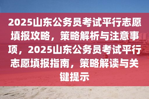 2025山东公务员考试平行志愿填报攻略，策略解析与注意事项，2025山东公务员考试平行志愿填报指南，策略解读与关键提示