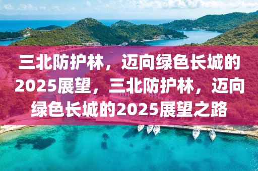 三北防护林，迈向绿色长城的2025展望，三北防护林，迈向绿色长城的2025展望之路