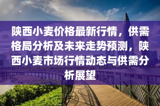 陕西小麦价格最新行情，供需格局分析及未来走势预测，陕西小麦市场行情动态与供需分析展望