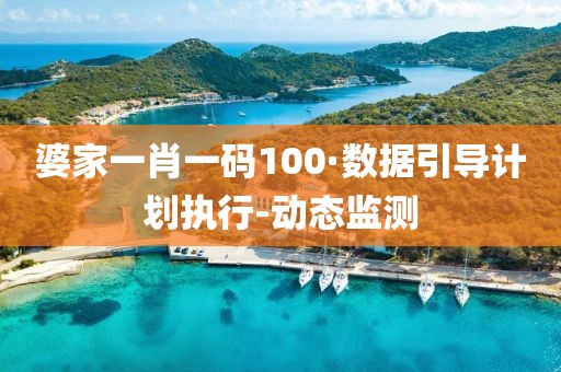 婆家一肖一码100·数据引导计划执行-动态监测