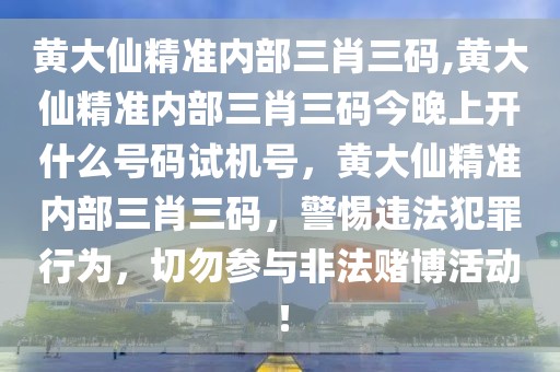 苍山老矿拍卖信息，最新价格解析及投资前景展望，苍山老矿拍卖风云，价格解析与投资前景深度剖析