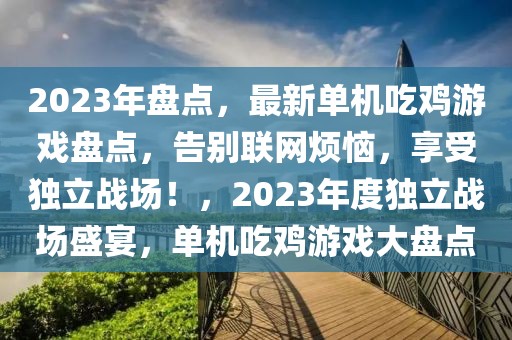 2023年盘点，最新单机吃鸡游戏盘点，告别联网烦恼，享受独立战场！，2023年度独立战场盛宴，单机吃鸡游戏大盘点