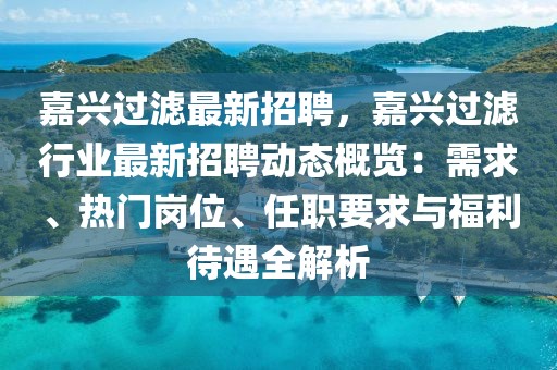 嘉兴过滤最新招聘，嘉兴过滤行业最新招聘动态概览：需求、热门岗位、任职要求与福利待遇全解析