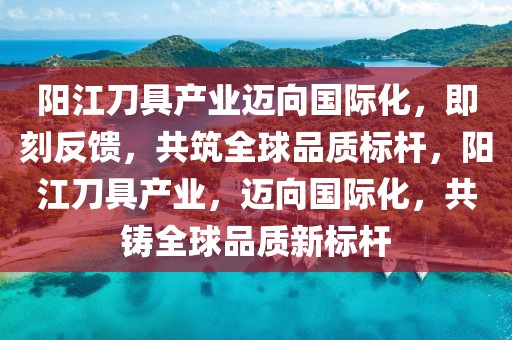 阳江刀具产业迈向国际化，即刻反馈，共筑全球品质标杆，阳江刀具产业，迈向国际化，共铸全球品质新标杆