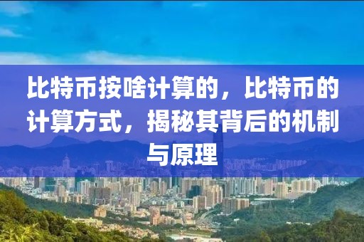 2023年青岛租房指南，最新房源信息及租住攻略，2023青岛租房宝典，最新房源解析与租住攻略