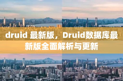 druid 最新版，Druid数据库最新版全面解析与更新